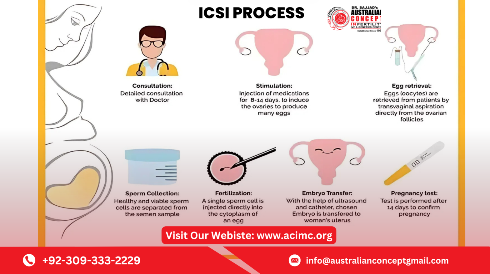 ICSI Procedure